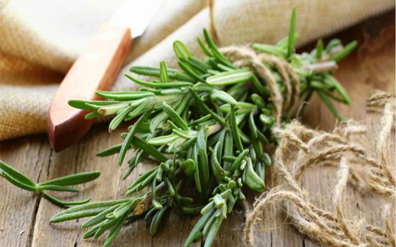استفاده از گیاهان در فضای آشپزخانه