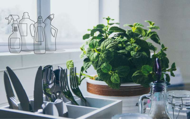 استفاده از گیاهان در فضای آشپزخانه