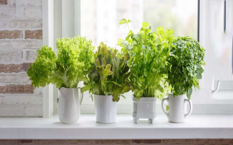 چگونه اپن آشپزخانه را تزیین کنیم ؟