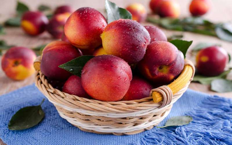 فواید خوردن میوه های تابستانی