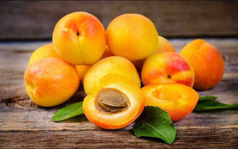 فواید خوردن میوه های تابستانی