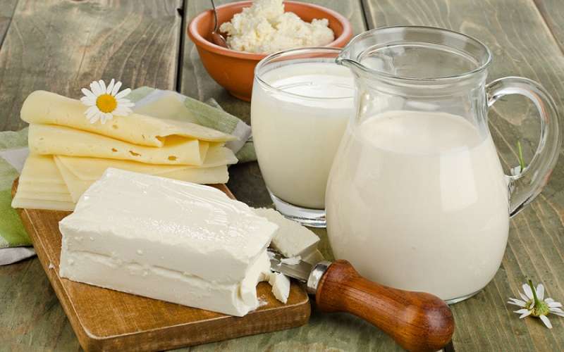 چرا باید لبنیات بخوریم؟