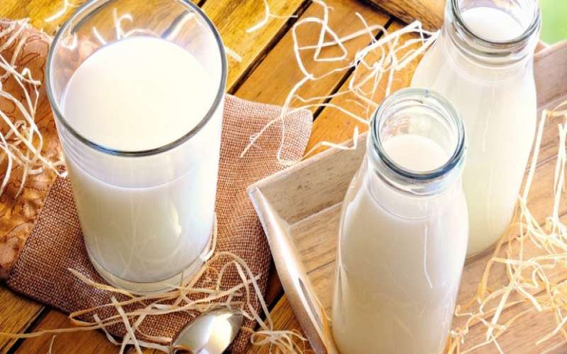 چرا باید لبنیات بخوریم؟