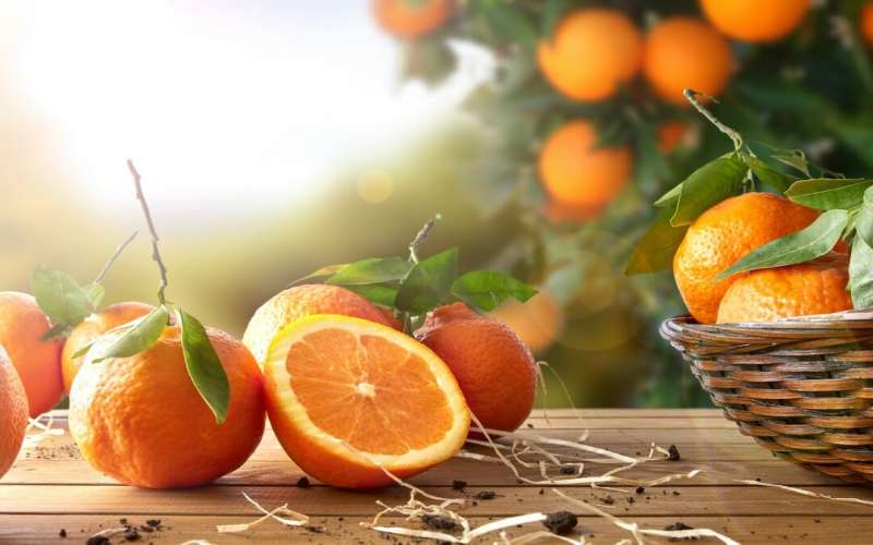 چرا در زمستان پرتقال بخوریم ؟