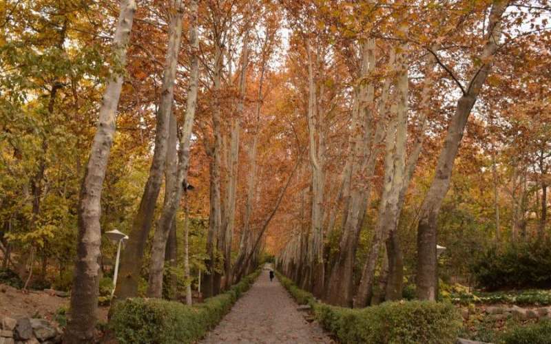 معرفی پارک های زیبای تهران