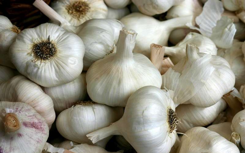خواص بی نظیر سیر