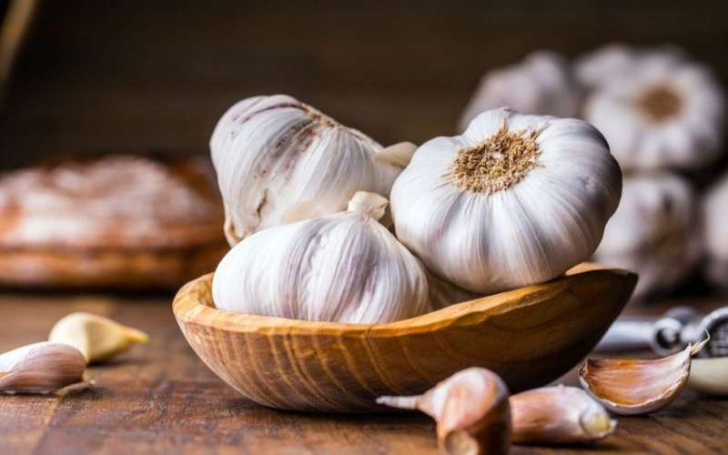 خواص بی نظیر سیر