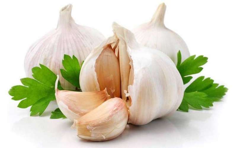 خواص بی نظیر سیر