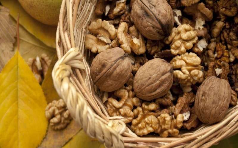 گردو و خواص بی نظیر آن برای بدن