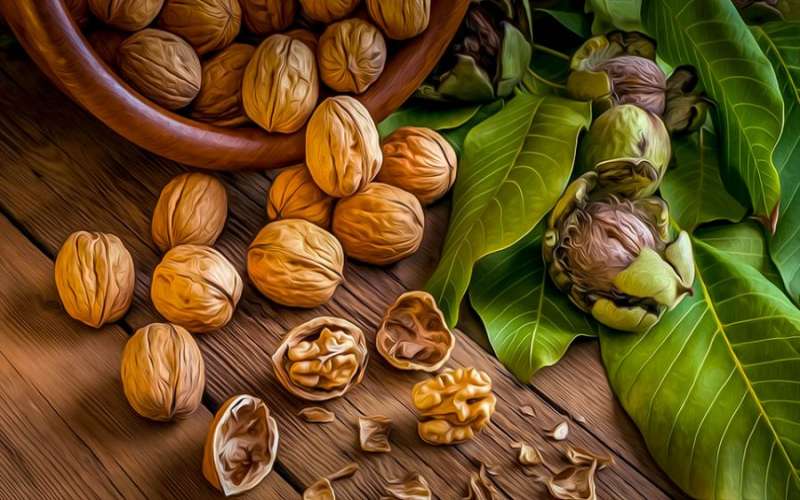 گردو و خواص بی نظیر آن برای بدن