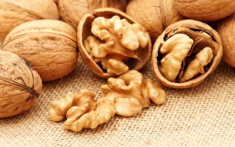 گردو و خواص بی نظیر آن برای بدن