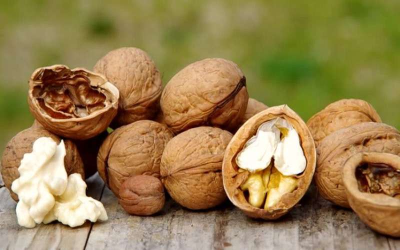 گردو و خواص بی نظیر آن برای بدن