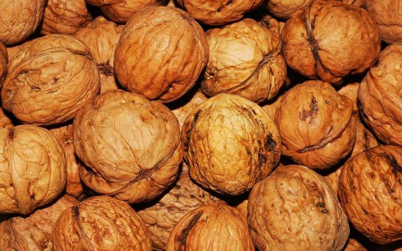 گردو و خواص بی نظیر آن برای بدن
