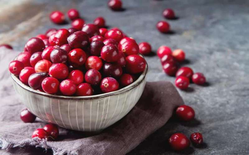 خواص زغال اخته چیست ؟