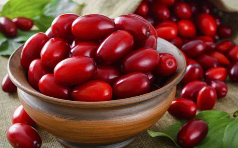 خواص زغال اخته چیست ؟