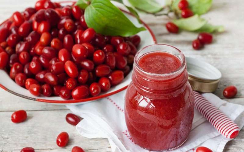 خواص زغال اخته چیست ؟