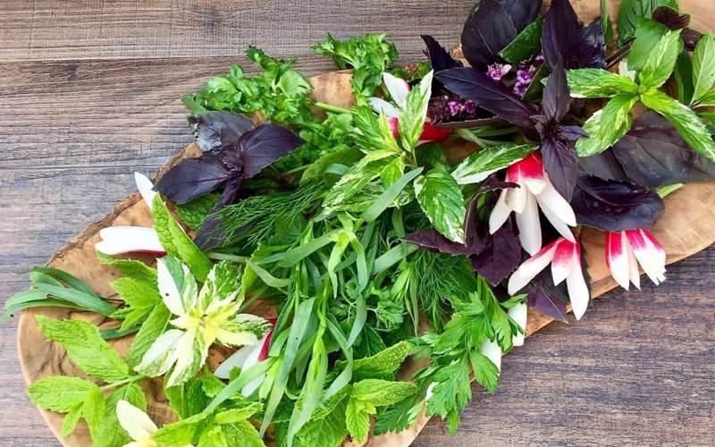 سبزی خوردن چه خواصی دارد ؟