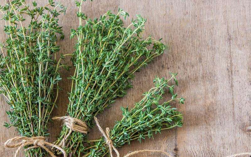 سبزی خوردن چه خواصی دارد ؟