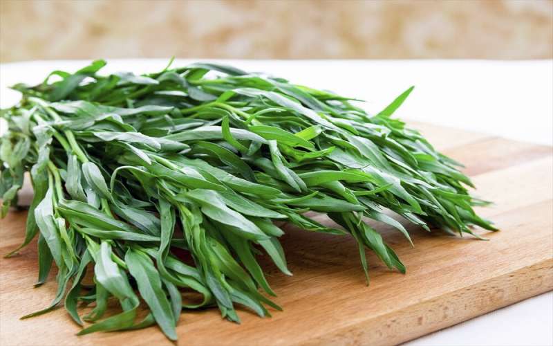 سبزی خوردن چه خواصی دارد ؟