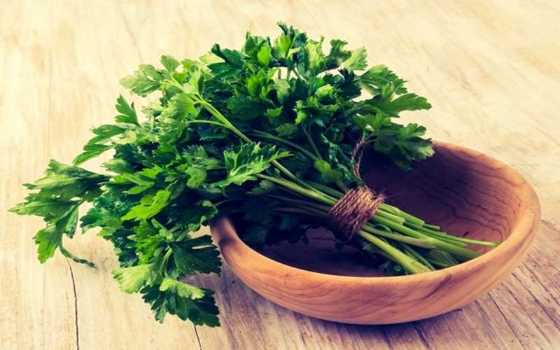 سبزی خوردن چه خواصی دارد ؟