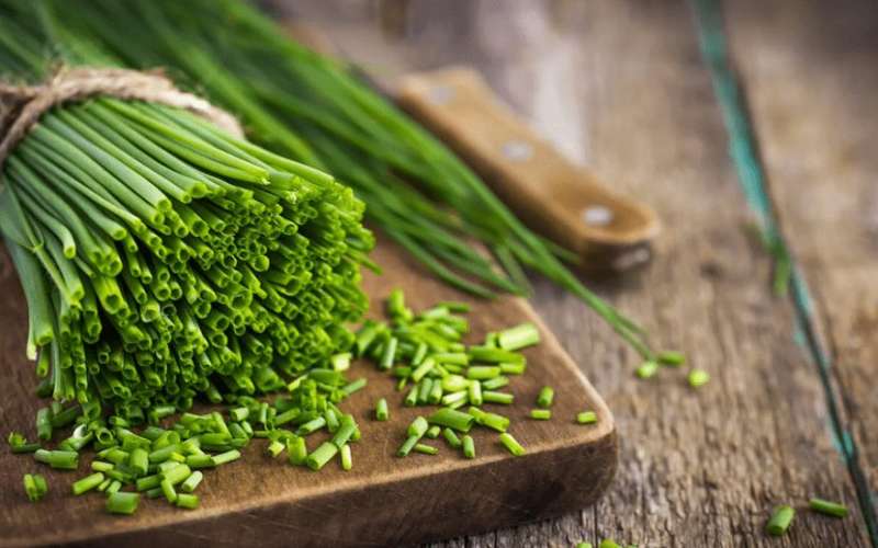 سبزی خوردن چه خواصی دارد ؟