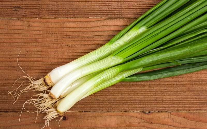 سبزی خوردن چه خواصی دارد ؟