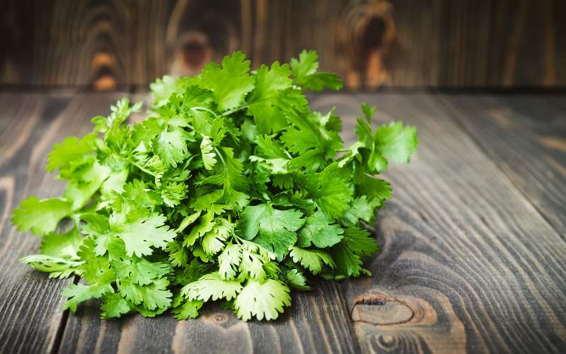 سبزی خوردن چه خواصی دارد ؟