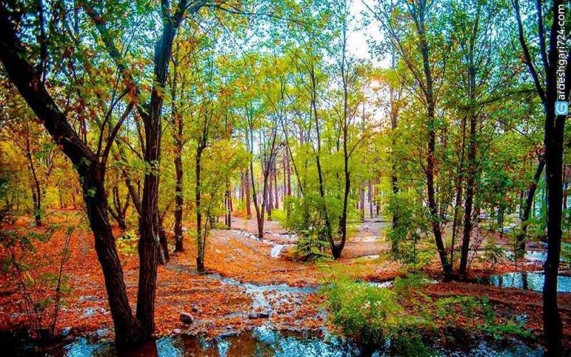 پارک های جنگلی تهران