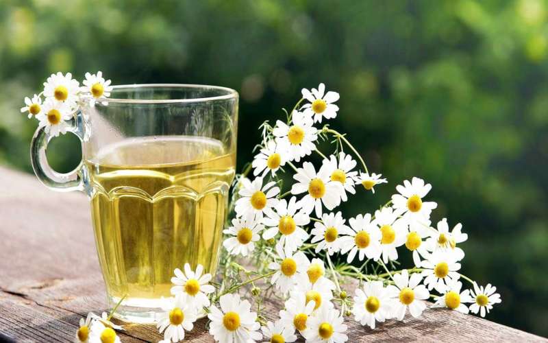 چگونه معده درد را درمان کنیم ؟