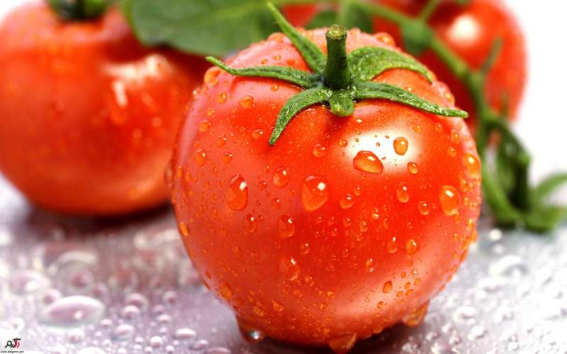 خواص گوجه فرنگی
