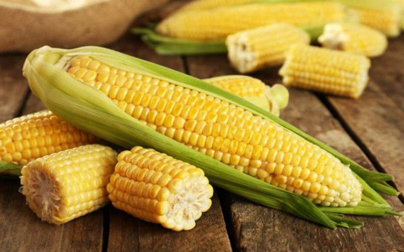 خواص ذرت چیست؟