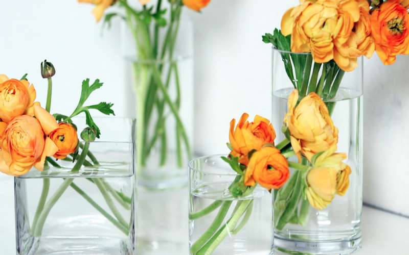 چه کنیم گل های تازه پژمرده نشود؟