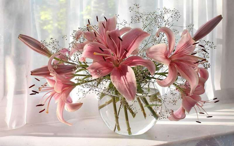 چه کنیم گل های تازه پژمرده نشود؟