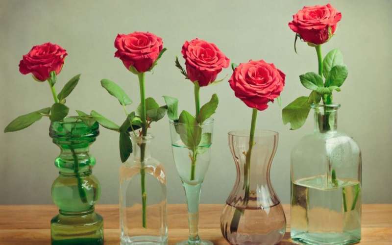 چه کنیم گل های تازه پژمرده نشود؟