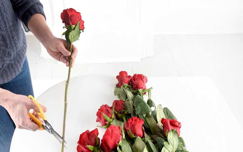 چه کنیم گل های تازه پژمرده نشود؟