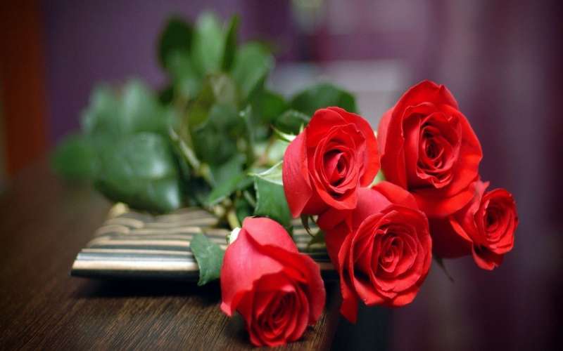چه کنیم گل های تازه پژمرده نشود؟