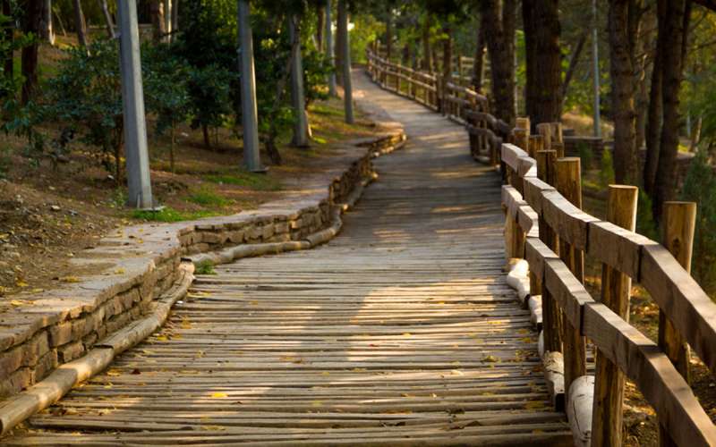 معرفی چند پارک جذاب برای عکاسی در تهران