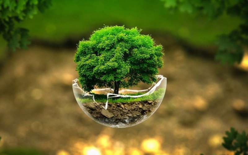 چگونه مراقب محیط زیست باشیم ؟